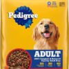Adult Dry Dog Food