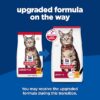 Adult Dry Cat Food