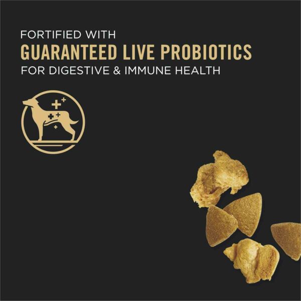 Purina Pro Plan Complete Essentials Shredded Blend Chicken and Rice Dog Food 2_11zon Purina Pro Plan Complete Essentials Shredded Blend Chicken and Rice Dog Food