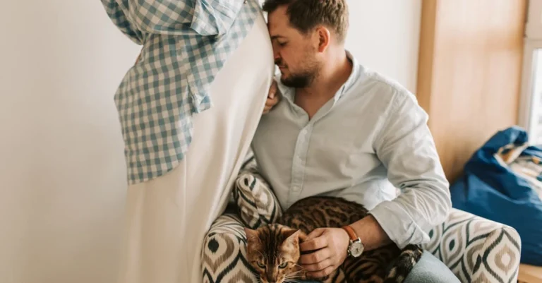 F3 Bengal Cat