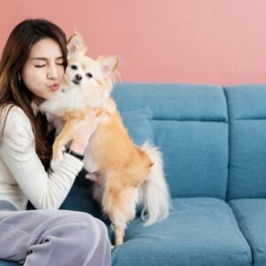 Female Dog Care
