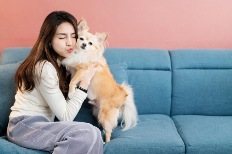 Female Dog Care